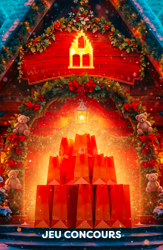 Faches_2025_Site_LandingVisuel_326x500px_Noël-3.png